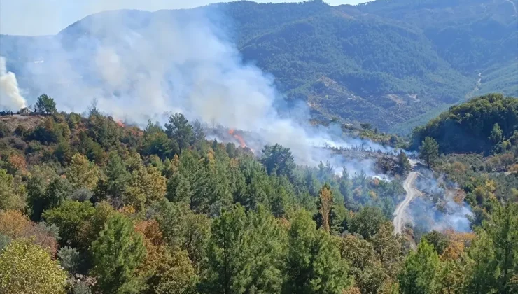 Alanya’da Zirai Alanda Yangın Kontrol Altına Alındı